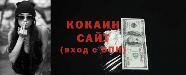 молекула духа Надым