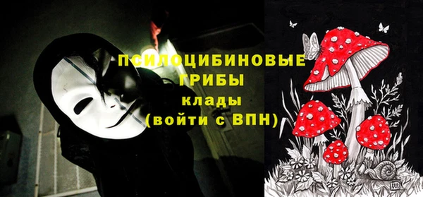 бошки Алзамай