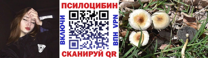 omg онион  Шелехов  Псилоцибиновые грибы мухоморы 